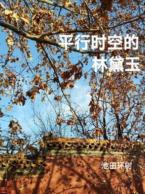 平行时空的林黛玉 平行时空的林黛玉