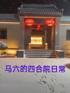 马六的四合院日常 马六的四合院日常