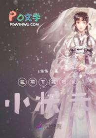 被榜下捉婿的小状元 被榜下捉婿的小状元