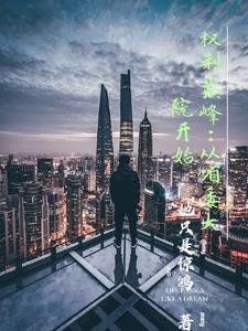 至高权力:从省委大院开始 至高权力:从省委大院开始