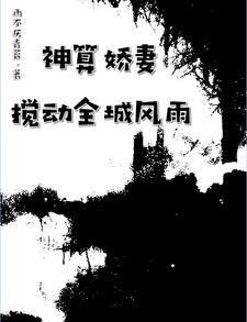 神算娇妻:搅动全城风雨 神算娇妻:搅动全城风雨