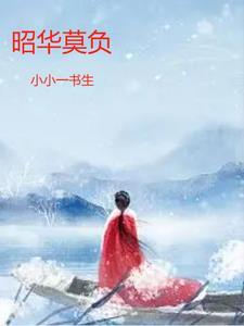 昭华莫负 昭华莫负