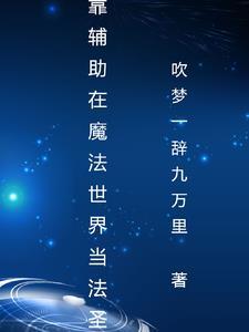 魔法觉醒,我第一系是辅助系 魔法觉醒,我第一系是辅助系