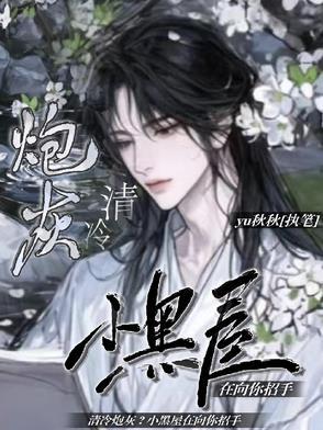 清冷炮灰？小黑屋在向你招手