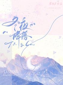 在冬夜降落 在冬夜降落