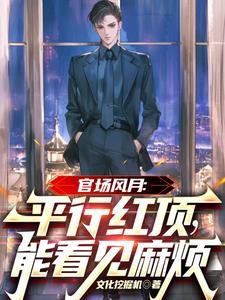 官场风月:平行红顶,能看见麻烦 官场风月:平行红顶,能看见麻烦