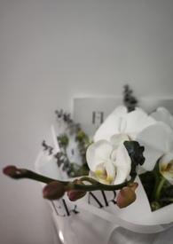 我的未婚妻欲求不满 我的未婚妻欲求不满